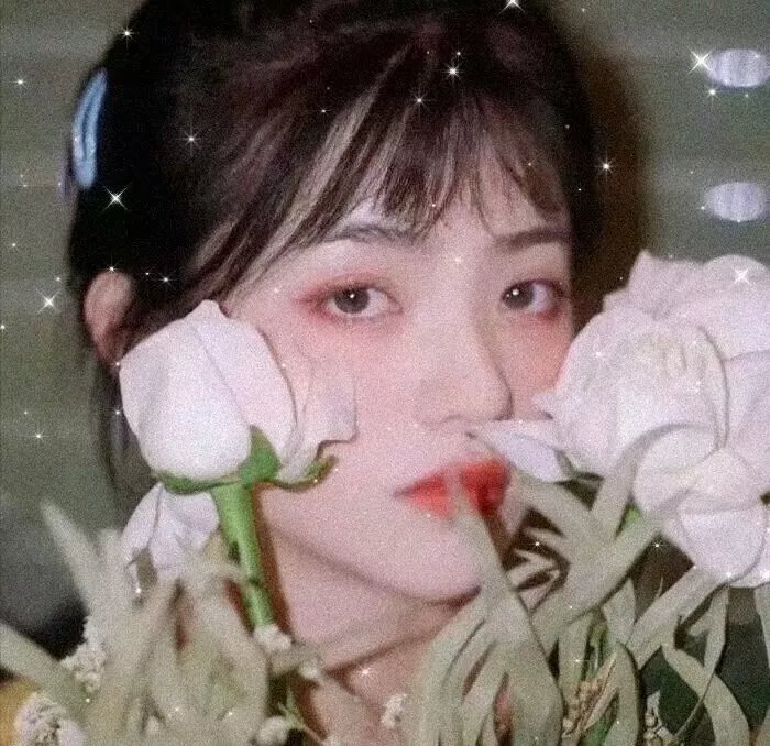 我和我的村